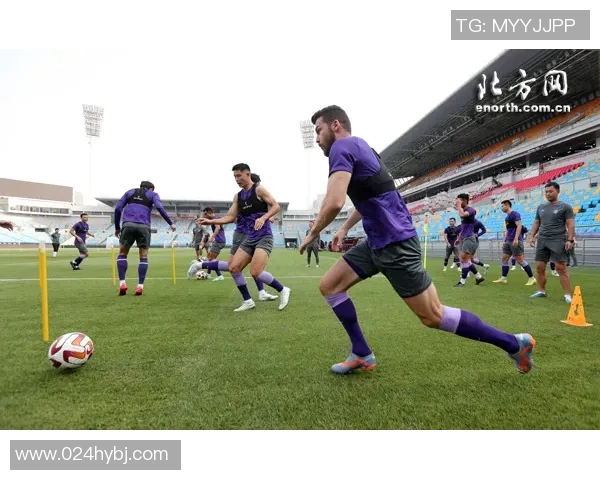 笨狼追梦足球场的奇幻旅程与理想明星的成长之路